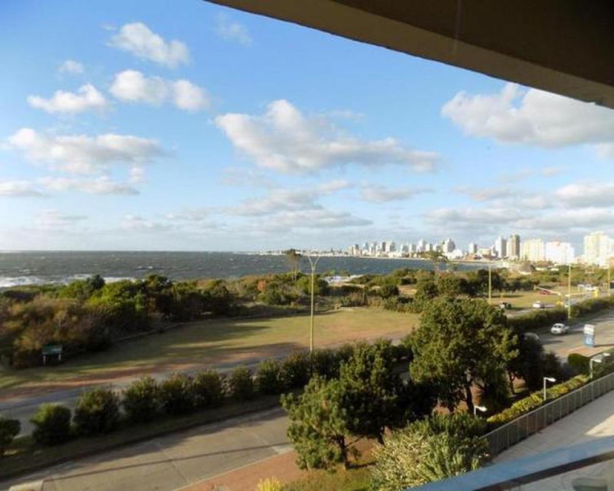 3 غرف نوم شقة في Maldonado, Uruguay رقم 535