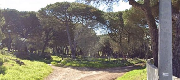 Terrain à Sintra, Portugal 2840m² No. 82090 2