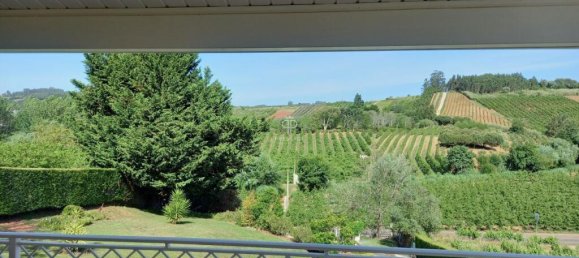 4 Schlafzimmer Villa in Caldas da Rainha, Portugal, Nr. 326467 16