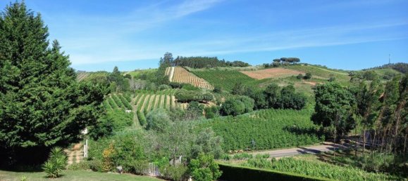 4 Schlafzimmer Villa in Caldas da Rainha, Portugal, Nr. 326467 3