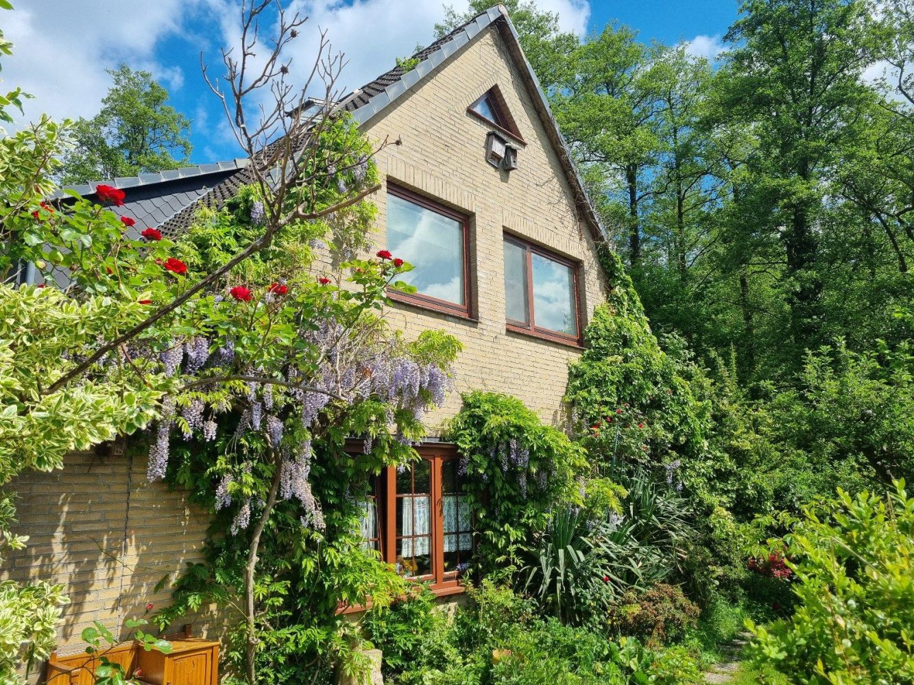 4 bedrooms House in Diepholz, Germany No. 236615