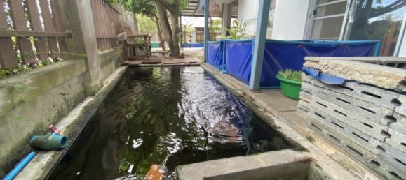 3 Schlafzimmer Cafe / Restaurant in Pattaya, Thailand, Nr. 3415 11