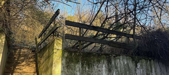 5-Zimmer Stadthaus in Ludwigsburg, Germany, Nr. 108670 15