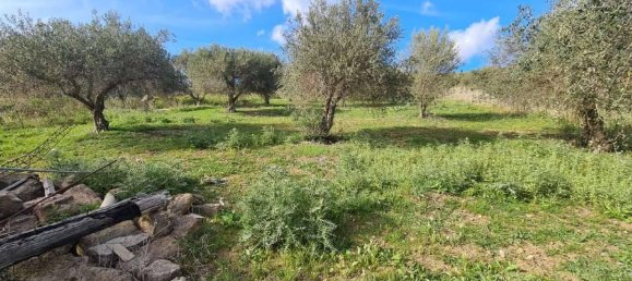 Terreno en Santa Flavia, Italy 4200 m² No. 155788 3