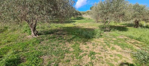 Terreno en Santa Flavia, Italy 4200 m² No. 155788 2