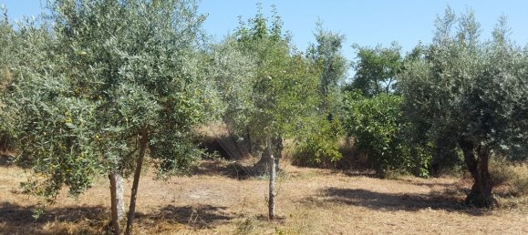 2 bedrooms House in Ourem, Portugal No. 170071 6