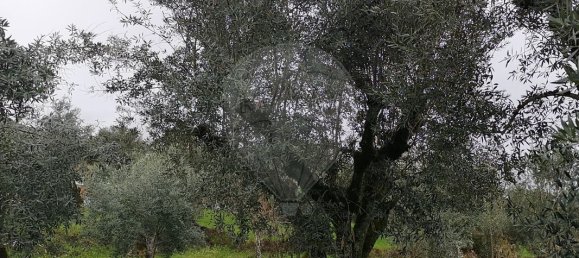 2 bedrooms House in Ourem, Portugal No. 170071 20