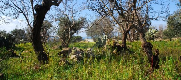 Estúdio em Patù, Italy N.º 117593 12