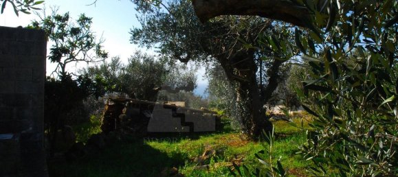 Estúdio em Patù, Italy N.º 117593 5