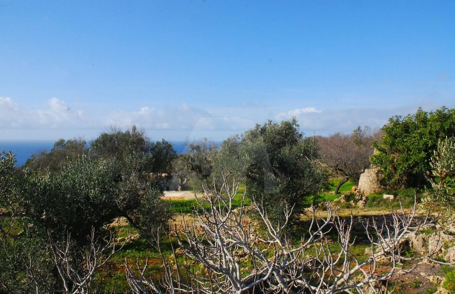 Estúdio em Patù, Italy N.º 117593