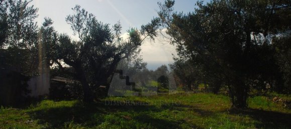 Estúdio em Patù, Italy N.º 117593 13