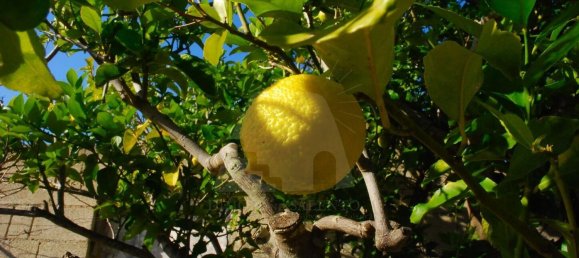 Estúdio em Patù, Italy N.º 117593 4