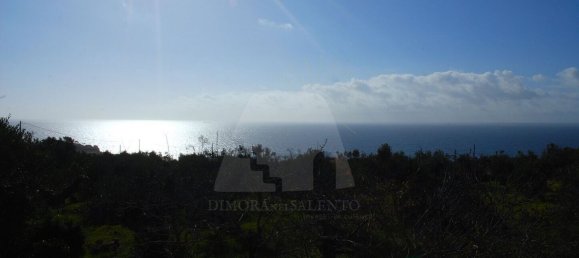 Estúdio em Patù, Italy N.º 117593 3