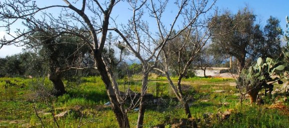 Estúdio em Patù, Italy N.º 117593 11