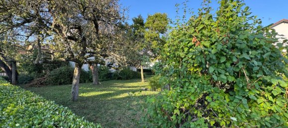 Casa de 3 dormitorios en Rhein-Neckar-Kreis, Germany No. 81462 14