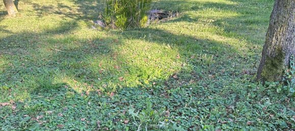 Casa de 3 dormitorios en Rhein-Neckar-Kreis, Germany No. 81462 10