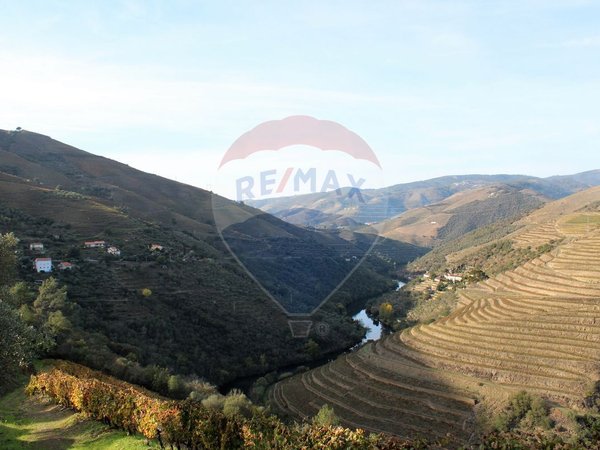 Terreno en Tabuaco, Portugal 16500 m² No. 88066