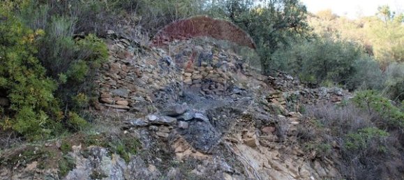 Terreno en Tabuaco, Portugal 16500 m² No. 88066 7