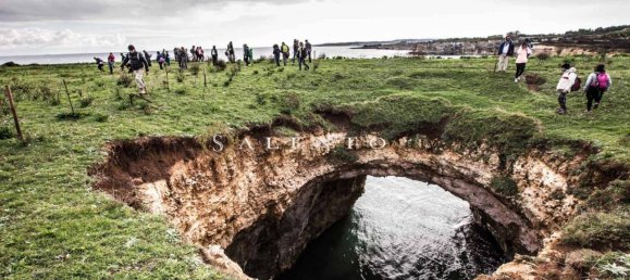 3 rooms Villa in Castrignano del Capo, Italy No. 64288 25