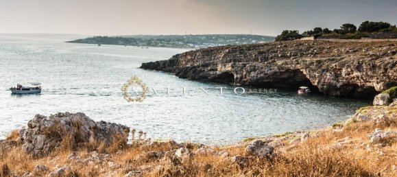 3 rooms Villa in Castrignano del Capo, Italy No. 64288 19