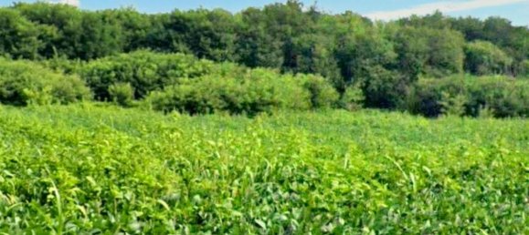 Terreno em Vicenza, Italy 1010 m² N.º 144224 9