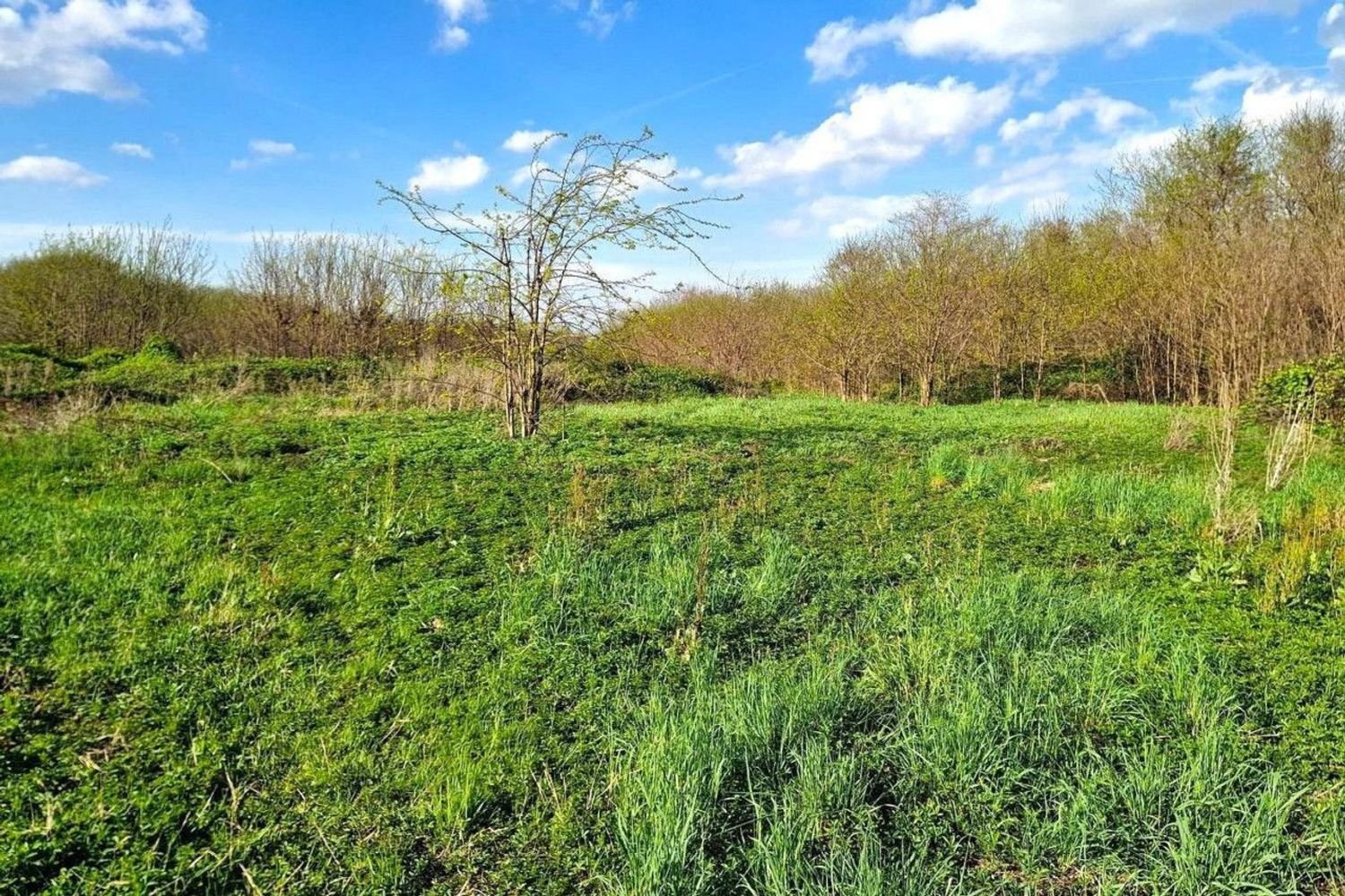 Terreno em Vicenza, Italy 1010 m² N.º 144224