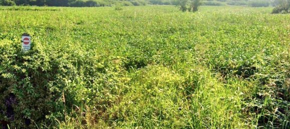 Terreno em Vicenza, Italy 1010 m² N.º 144224 5