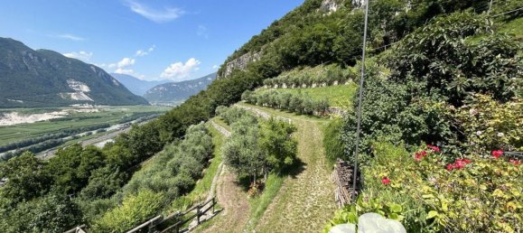 7 rooms Villa in Ala, Italy No. 72637 6