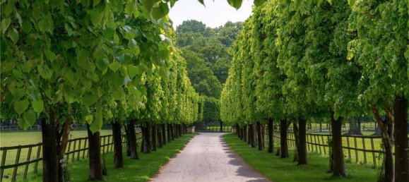 7 Schlafzimmer Haus in Mill Hill, United Kingdom, Nr. 6657 6