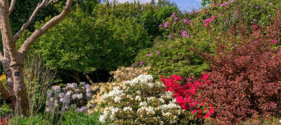 7 Schlafzimmer Haus in Mill Hill, United Kingdom, Nr. 6657 23