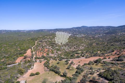  Land in Sao Bras de Alportel, Portugal No. 255549