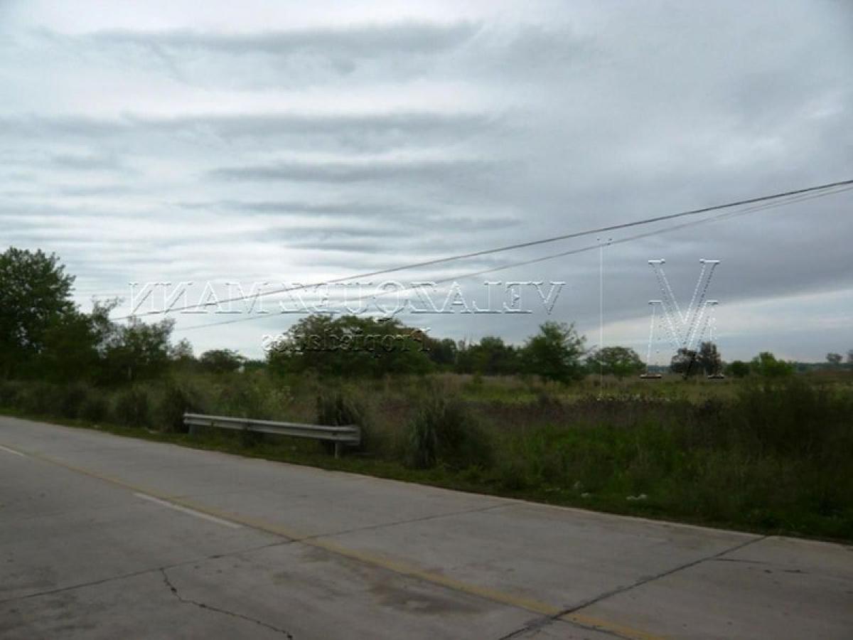  Land in Ezeiza, Argentina No. 37177