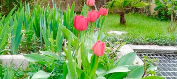 6غرفة منزل في Robassomero, Italy رقم 75483 8