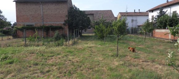 5-Zimmer Haus in Bosco Marengo, Italy, Nr. 214752 7