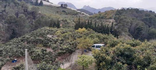 Casa de 2 dormitorios en Callosa D'en Sarria, Spain No. 167057