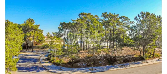 Grundstück in Grandola, Portugal, Nr. 131864 7