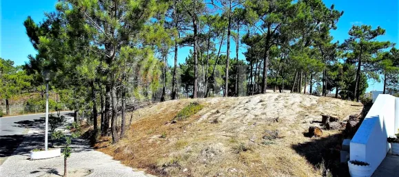 Grundstück in Grandola, Portugal, Nr. 131864 5