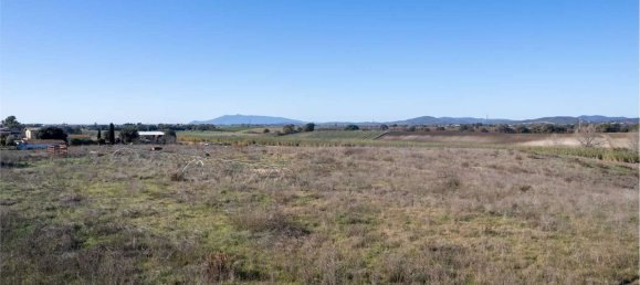 Terrain à Montalto di Castro, Italy 50000m² No. 46820 2