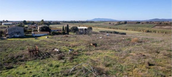 Terrain à Montalto di Castro, Italy 50000m² No. 46820 3