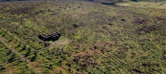 Terrain à Montalto di Castro, Italy 50000m² No. 46820 10