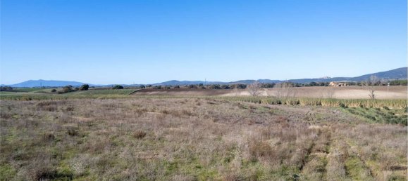 Terrain à Montalto di Castro, Italy 50000m² No. 46820 12