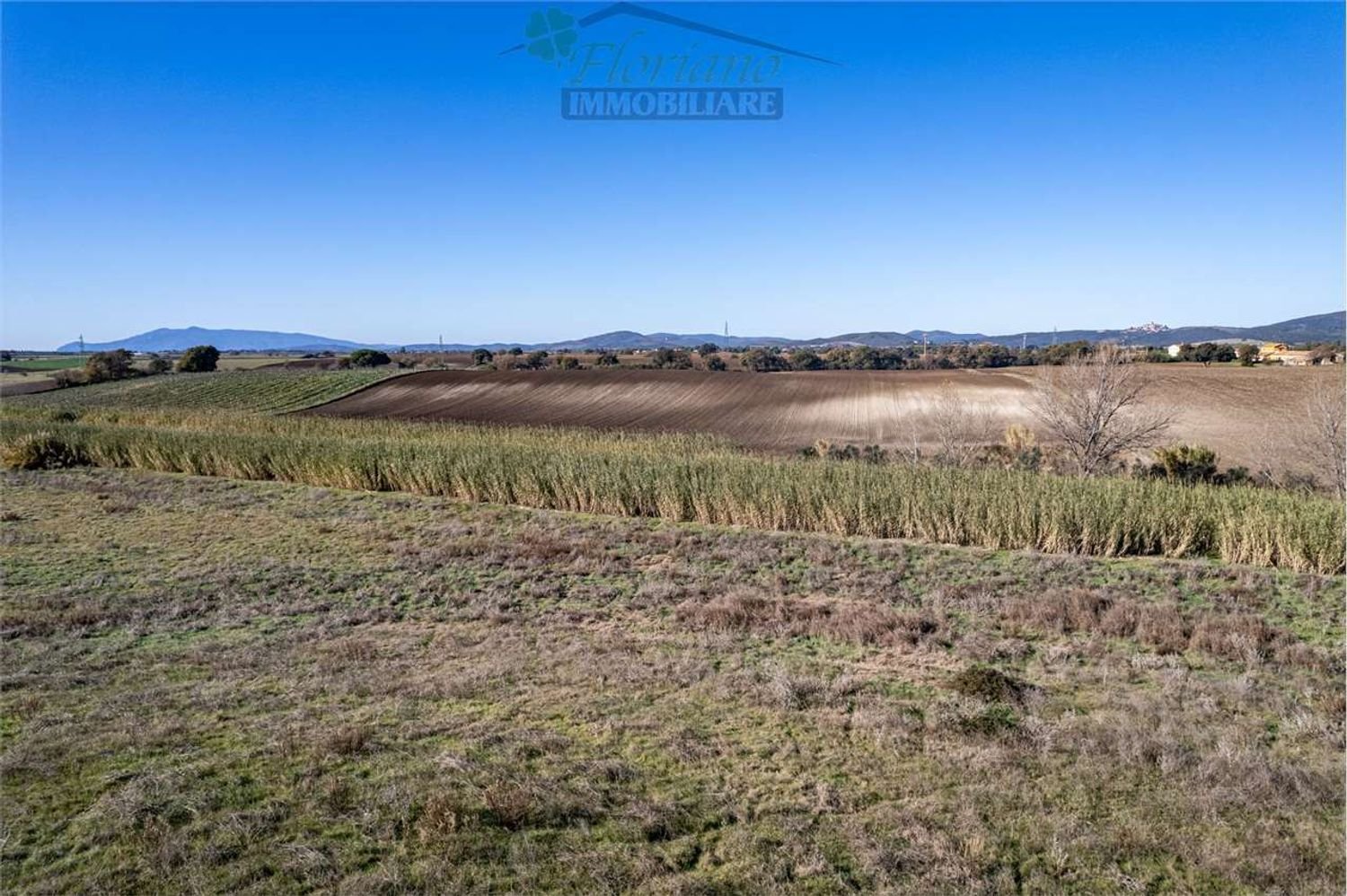 Terrain à Montalto di Castro, Italy 50000m² No. 46820