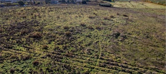 Terrain à Montalto di Castro, Italy 50000m² No. 46820 11