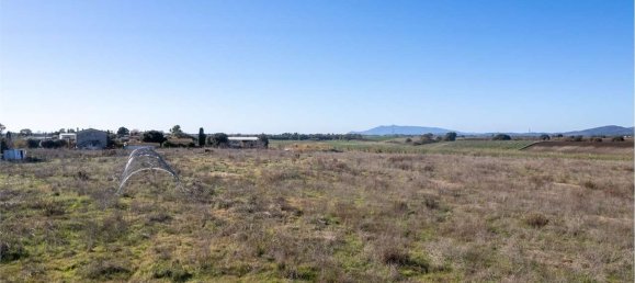 Terrain à Montalto di Castro, Italy 50000m² No. 46820 13