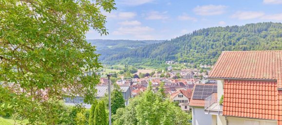 6 bedrooms Villa in Rhein-Neckar-Kreis, Germany No. 102521 13