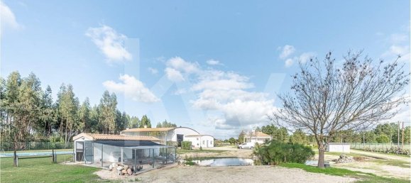 3 Schlafzimmer Haus in Benavente, Portugal, Nr. 146424 28