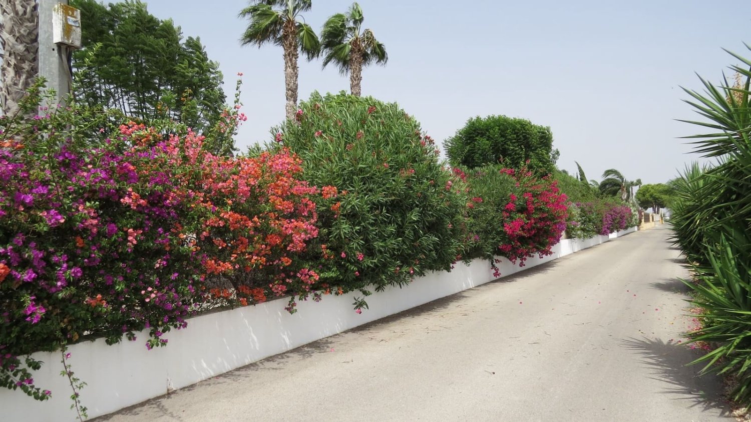 3 Schlafzimmer Haus in Dolores, Spain, Nr. 202743