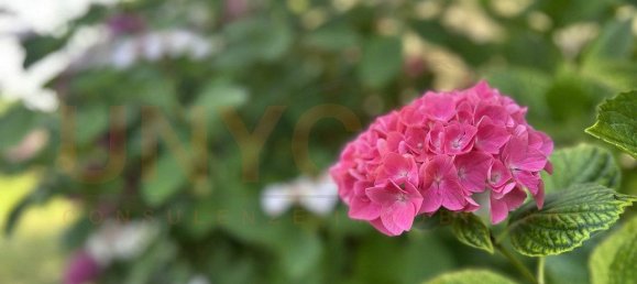 4 bedrooms Villa in Mestrino, Italy No. 261935 31