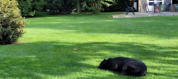 Casa de 5 habitaciónes en Hanover, Germany No. 285570 3