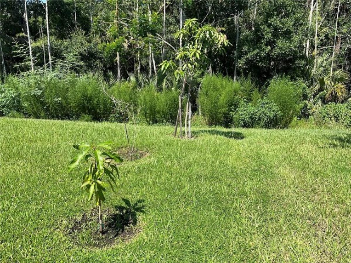 Дом с 3 спальнями в Киссимми, США № 385564